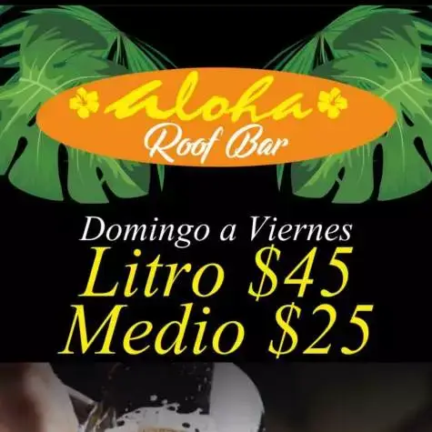 Logotipo de Aloharoof