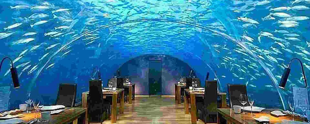 7 formas de innovar en tu restaurante